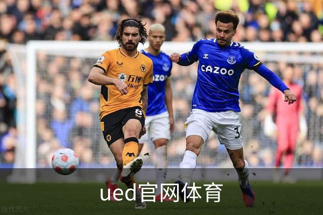 ued官网体育公司简介图片